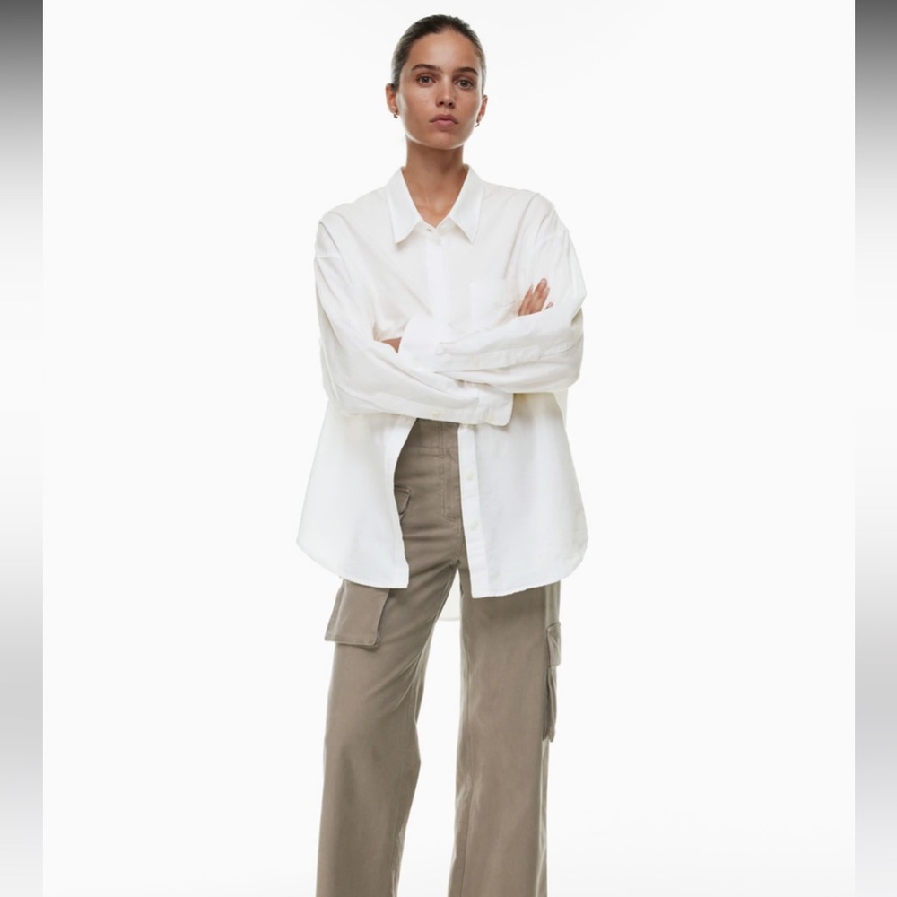 Aritizia Wilfred Free Relaxed Oxford Shirt